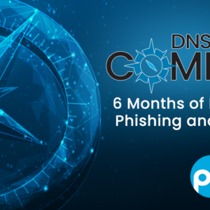 DNSAI Compass: Six Months of Measuring Phishing and Malware